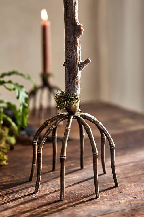 Bronze Spider Taper Holder
